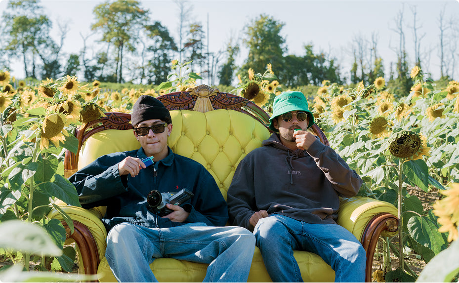 Two friends relaxing in a Central Massachusetts sunflower field with Holiday H-Bar cannabis vapes